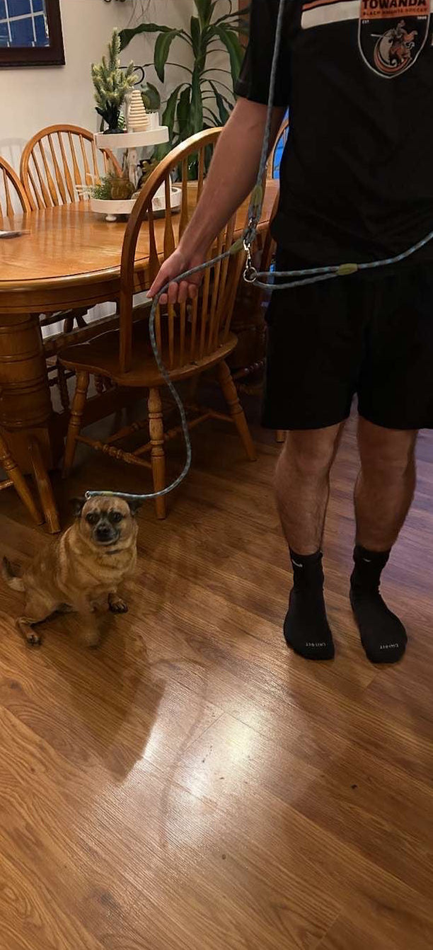 BeltBuddy: The Ultimate Dog Leash